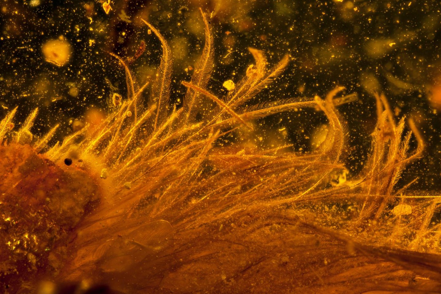Image Source: LIDA XING