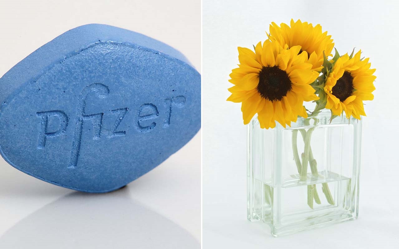 Viagra can make cut flowers stand straight for up to a week