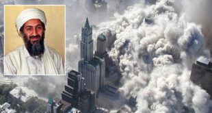 9/11, Osama Bin Laden, Terror Attack