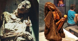 archaeology, study, discovery, scary, creepy