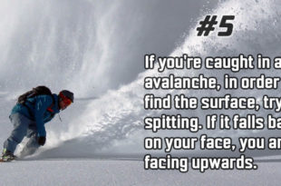 facts, life, people, nature, avalanche