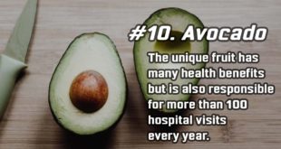 avocado, studies, fact, facts, people, life, science, entertainment