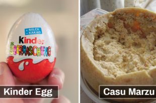 Kinder Egg, Casu Marzu, Food, foods, people