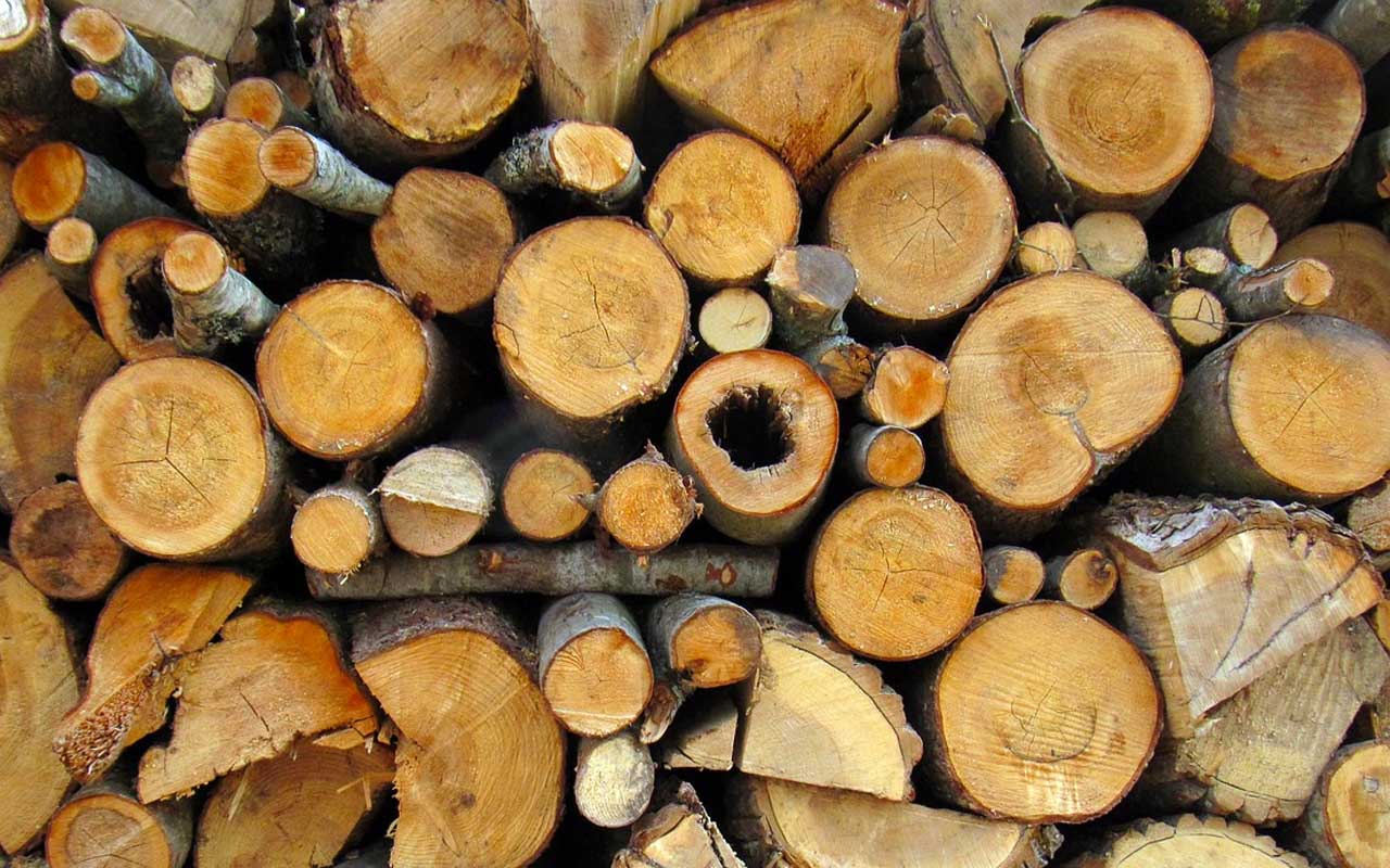 log, firewood, funny, laws