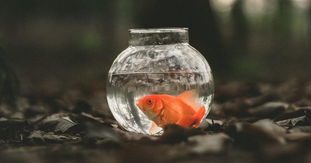 knowledge, facts, people, life, science