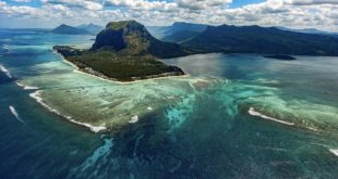 Mauritius, life, islands, facts, science