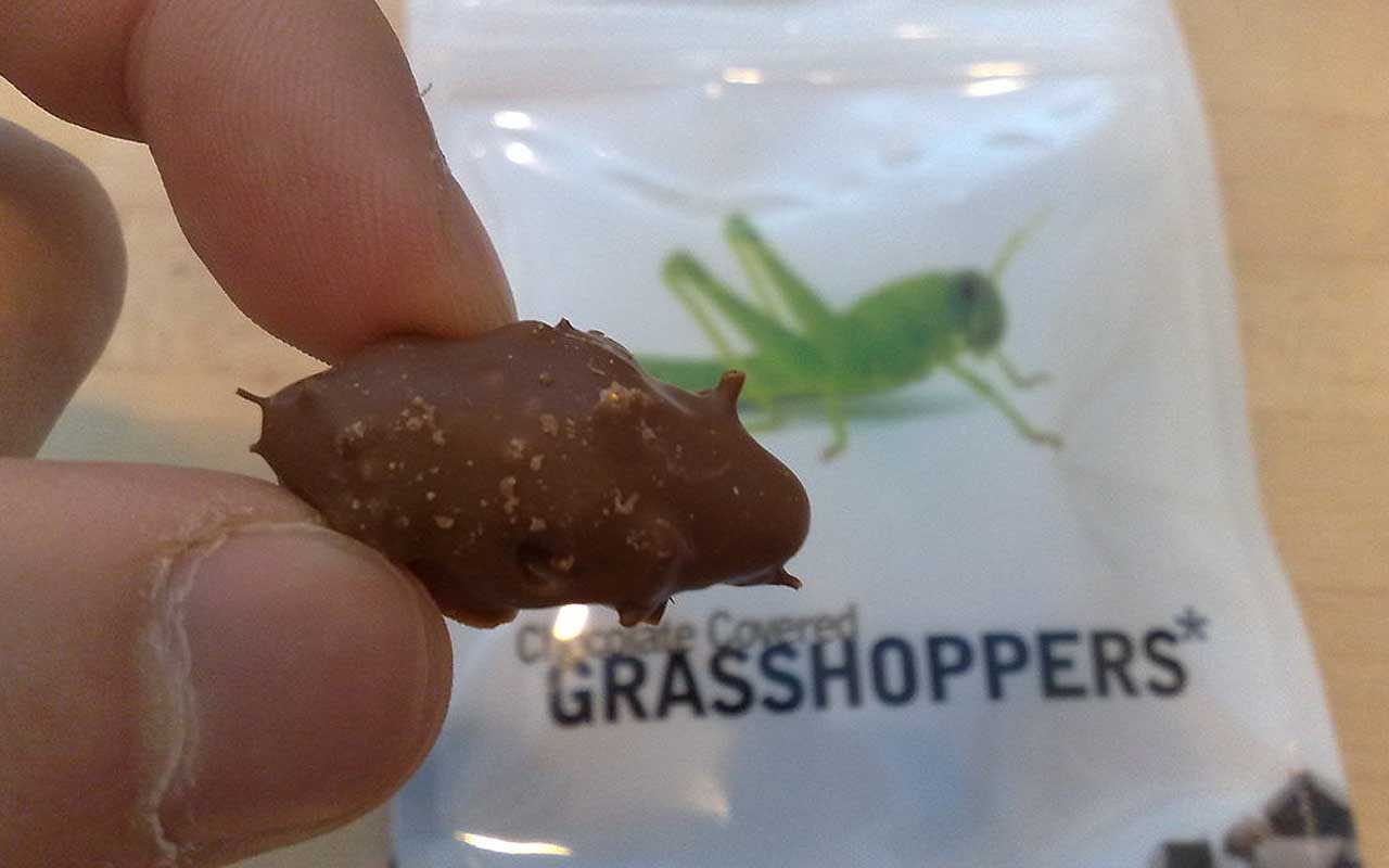 chocolate grasshopper, food, facts, life, candies