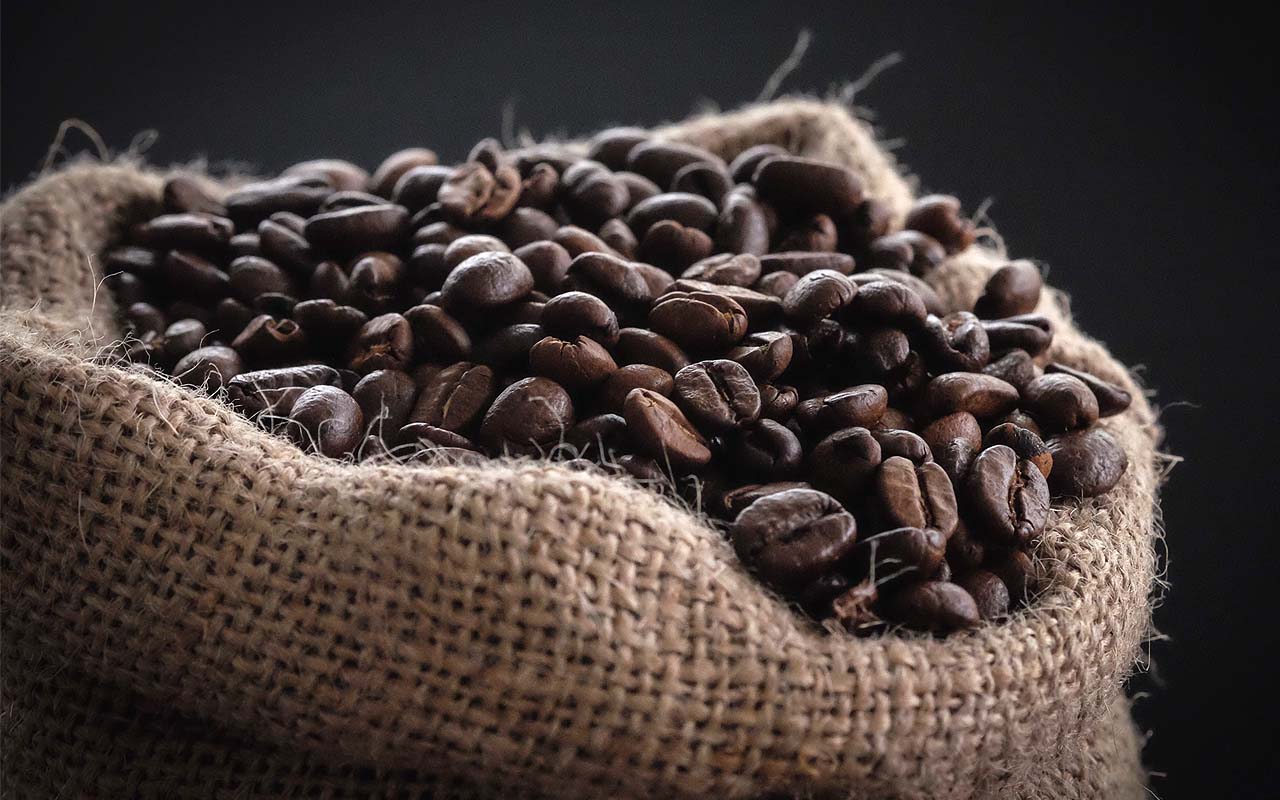 coffee, beans, food, facts, life, people, nature, disappearing