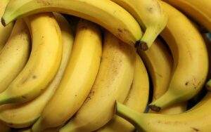 bananas, disappearing, food, facts, nature, Earth, life, economy