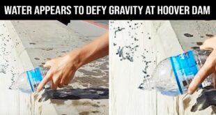 gravity, science, entertainment, facts, Earth