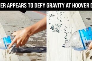 gravity, science, entertainment, facts, Earth