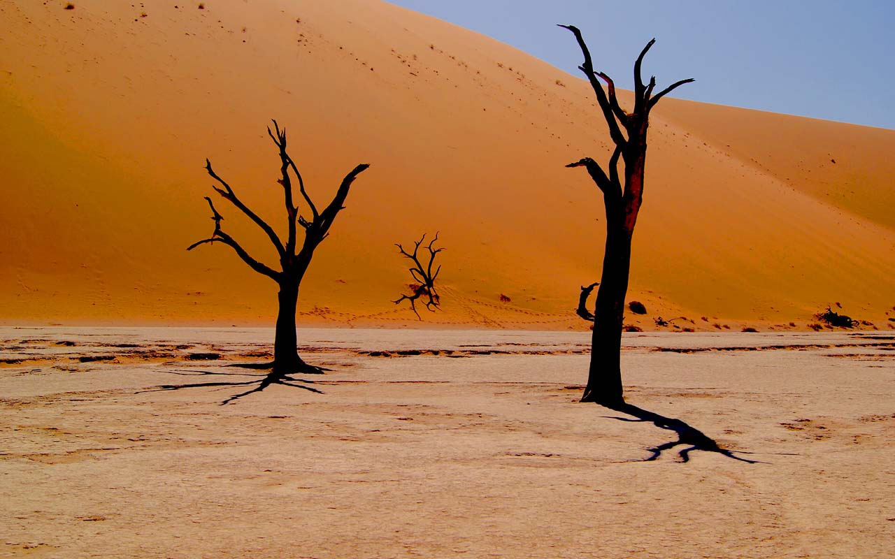 Deadvlei, Namibia, facts, desert, life, photography, nature, optical