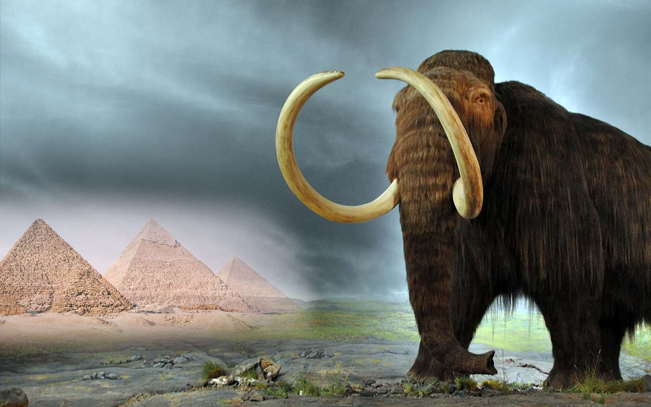 Wooly mammoths, pyramids, existed, facts, history, science, thought