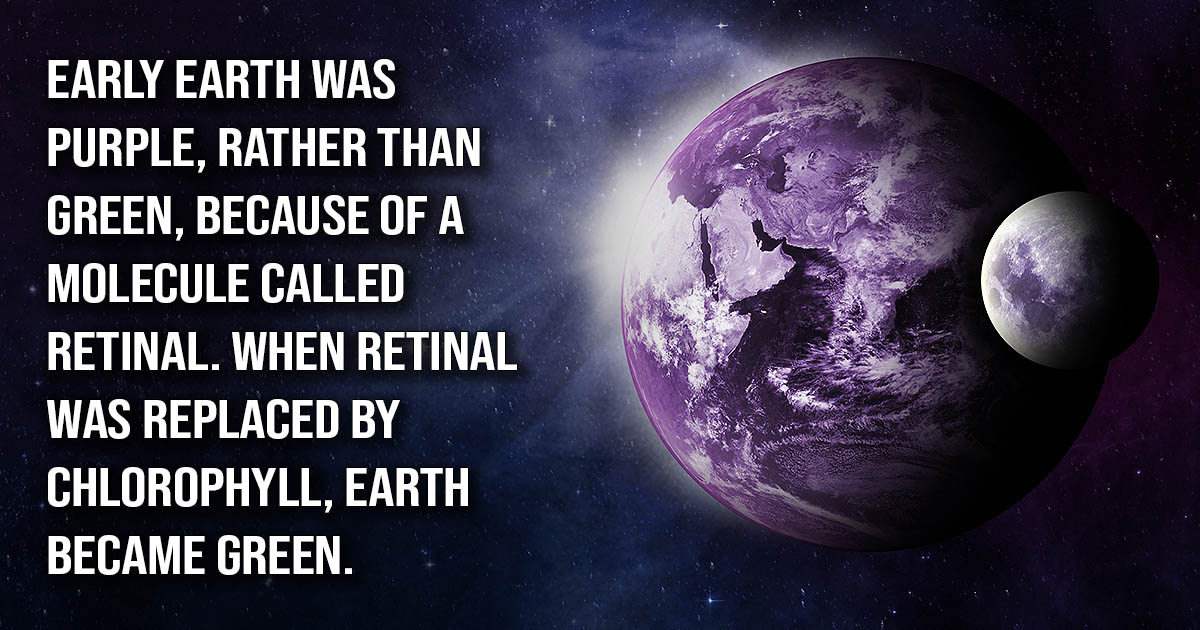 10-weird-facts-about-our-planet-that-most-people-don-t-know