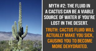 survival, facts, science, wilderness, travel
