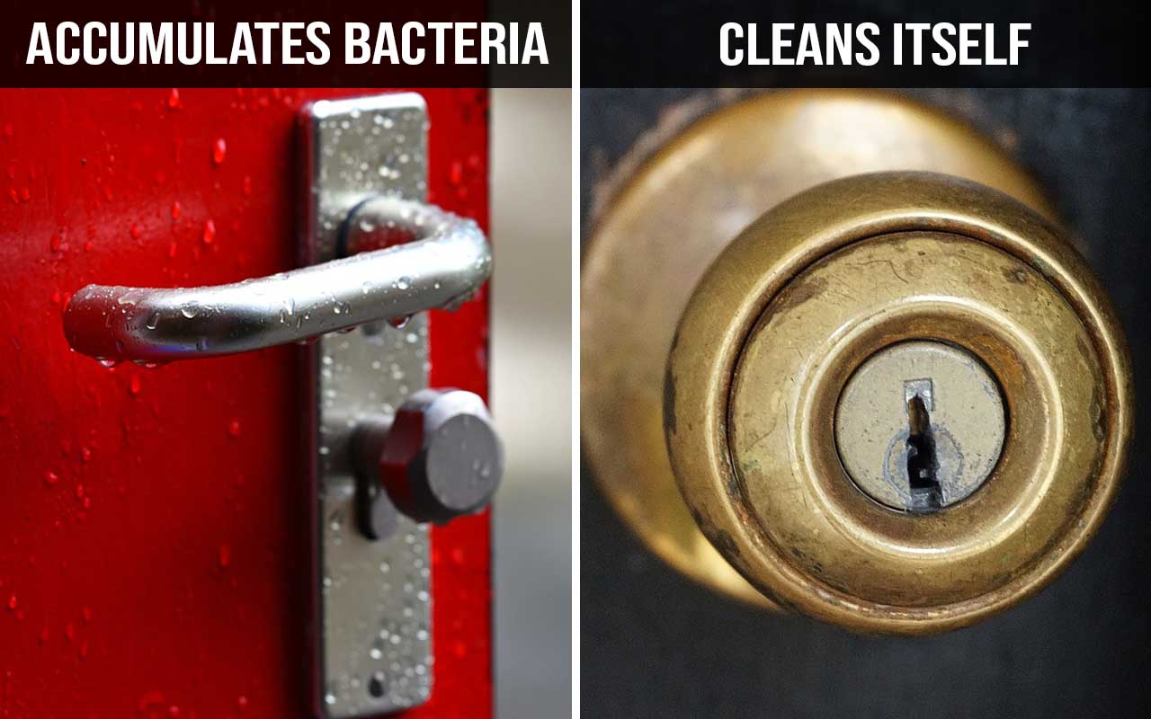 brass, door knob, disinfectant, bacteria, life, science