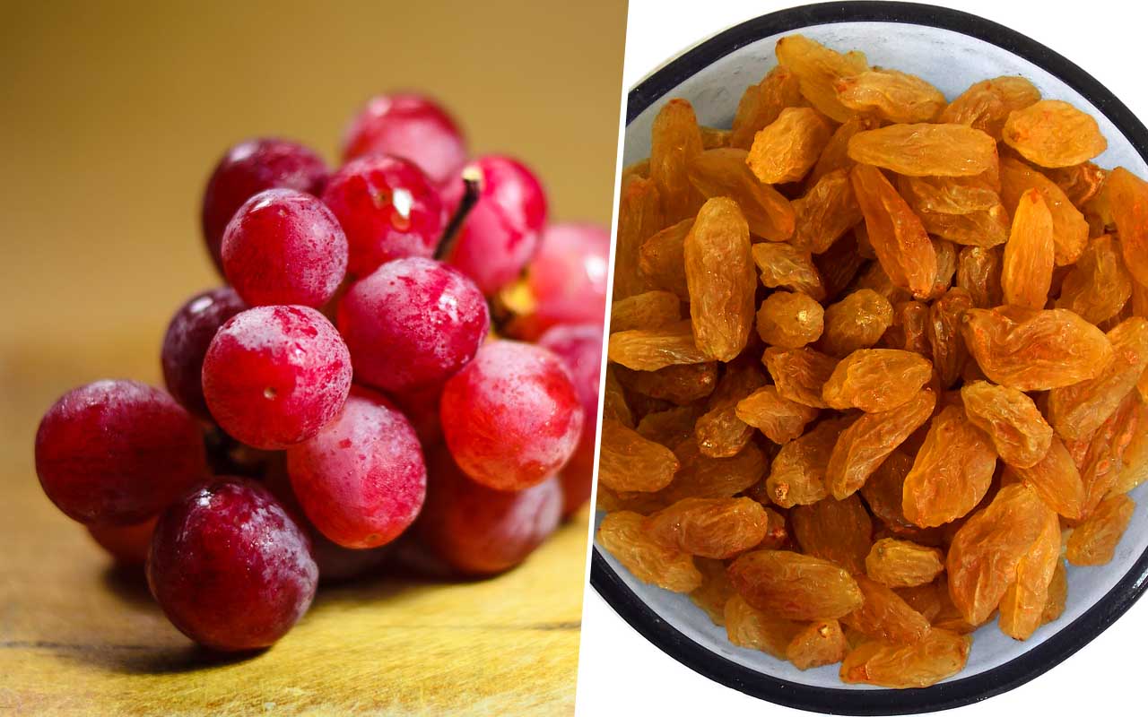Grapes and raisins, dog, cat, pet, love, animals, foods, facts, science