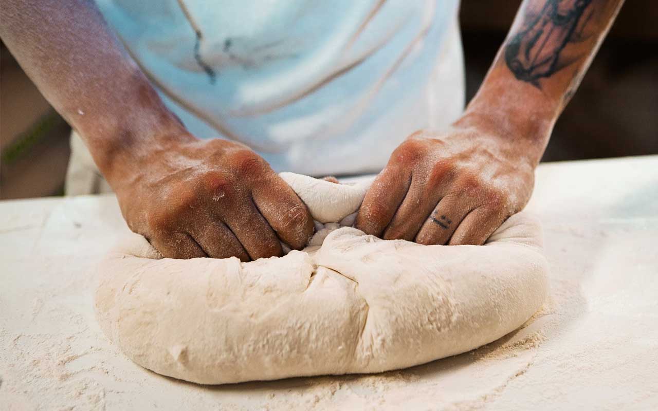 bread dough, facts, people, life, dog, cats, animals, pet