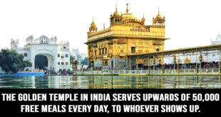 happy facts, science, people, life, humanity