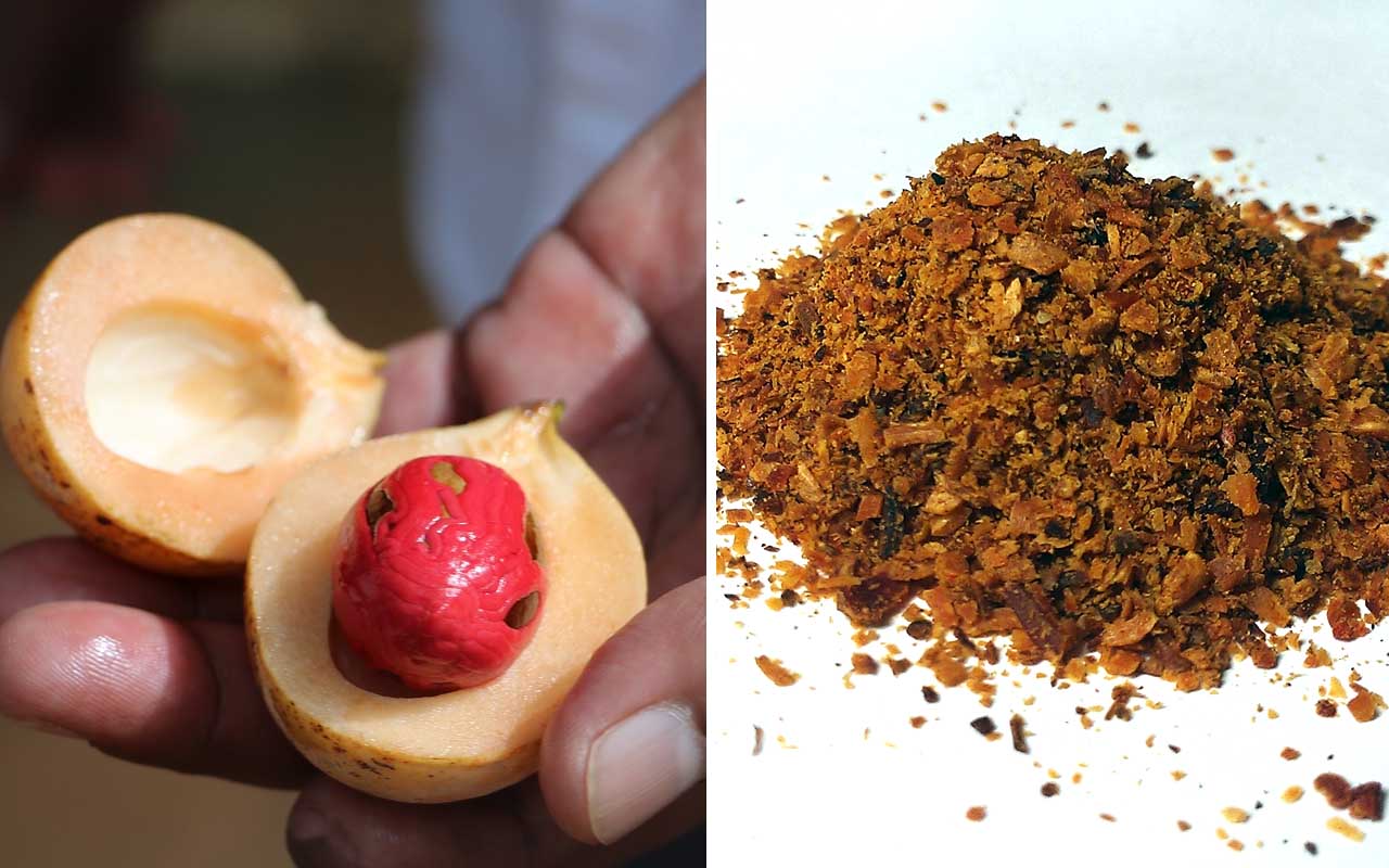 nutmeg, food, facts, cooking, kitchen, grocery store