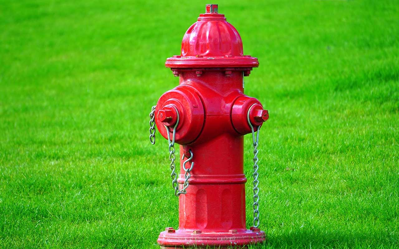 fire hydrant, facts, history, amazed, life, people