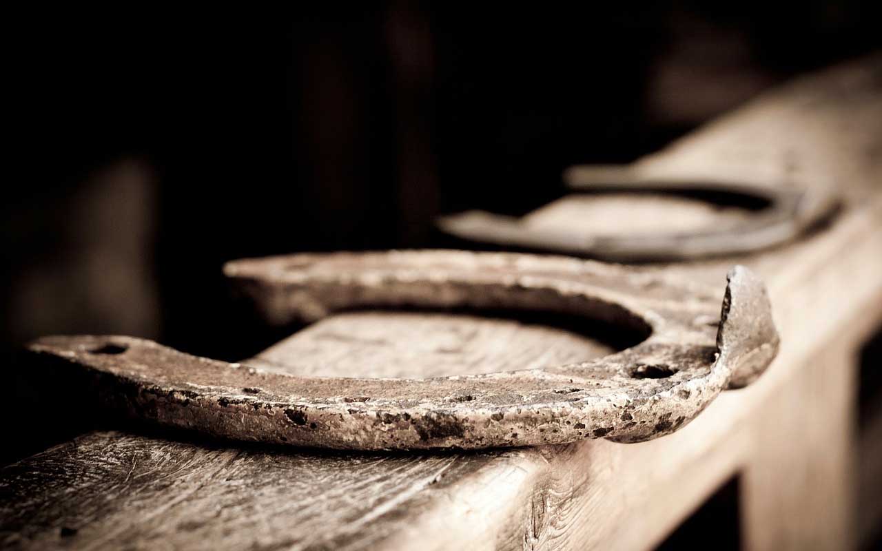 horse shoes, facts, life, people, history, medieval