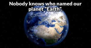 facts, idea, Earth, science, planet