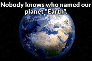 facts, idea, Earth, science, planet