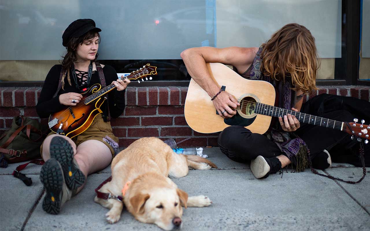 dogs, music, humane, animals, life, people