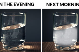 glass of water, people, life, science, facts, entertainment, sleep