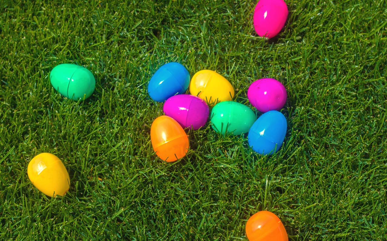 Easter egg, grass, traditions, facts, life, people, weird