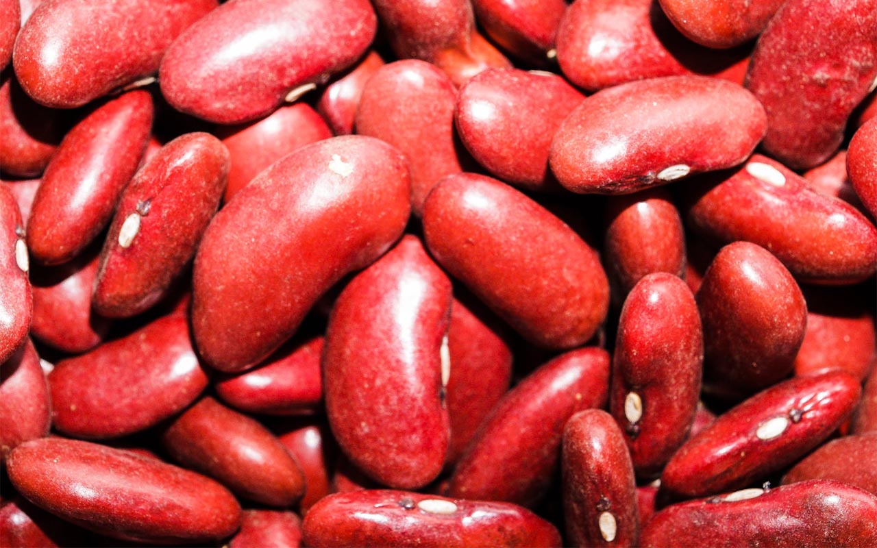 red kidney beans, lectin, facts, cooking, survival