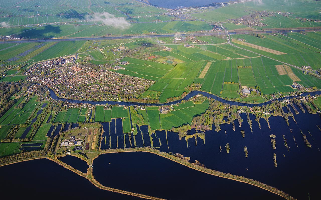 Amsterdam, agriculture, horticulture, farming, community, city, life