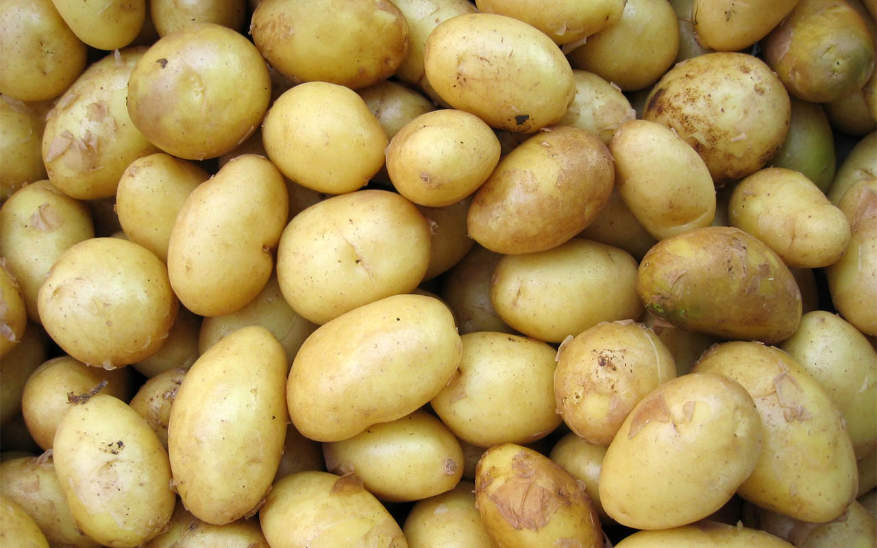 potatoes, survival, save, life, facts, interesting, foods,